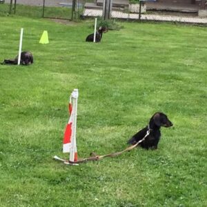 DTK Schwerte-Westhofen